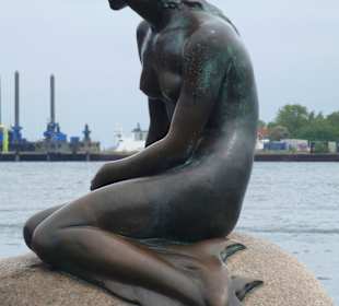 Meerjungfrau in Kopenhagen