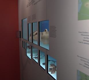 Stadtmuseum