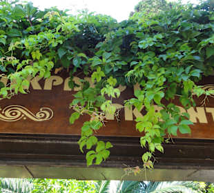 Socratous Garden 