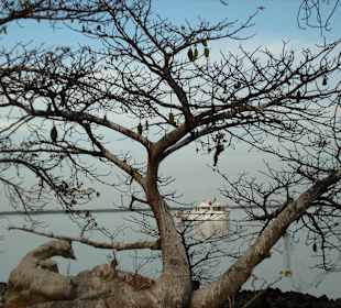 Kunta Kinteh Island