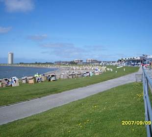 Der grüne Strand von Büsum!