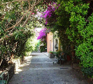 Spaziergang durch die Altstadt von Collioure
