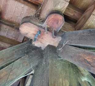 Blick auf den Hausbaum der Mühle
