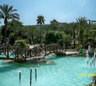 Ogród-park w centrum