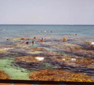 Schnorcheln in Taiwan/Kending/Kenting Bild 2.