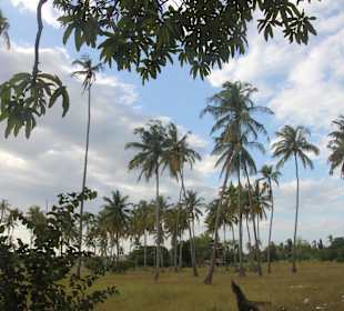 Auf dem Weg zum Strand