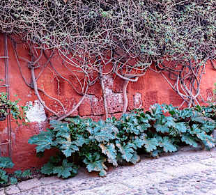 Santa Catalina Kloster