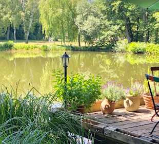 Am Papenteich Quellwassersee