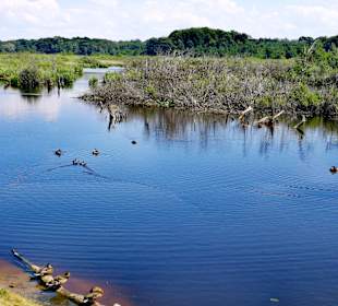 Stadtrundgang Kolobrzeg/Kolberg