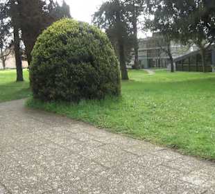 Schloss Königsegg Mittelzell