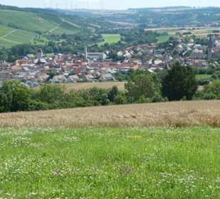 Blick von den Weinbergen / Weingärten Markelsheims