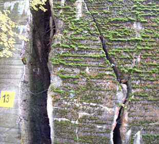 Wolfsschanze