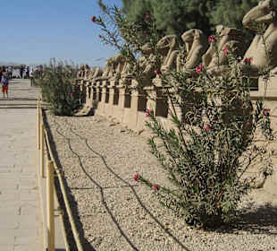 Tempel des Amun, Eingang