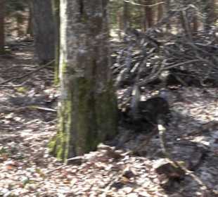 Historischer Rundwanderweg Aichtal