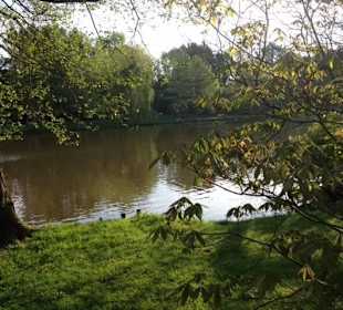 Mensch & Tier geniessen die Ruhe