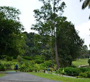 Botanischer Garten Singapur