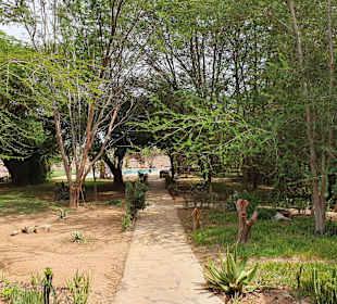 Weg zum Pool der "Ashni Aruba Lodge"