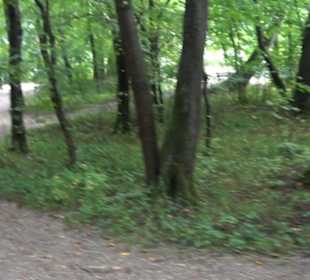 Pogodenburger See