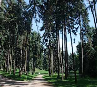 Park Skaryszewski