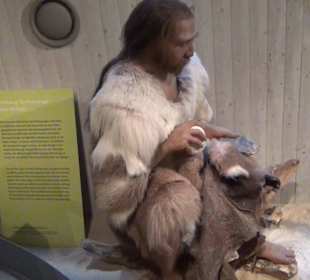 Neanderthal Museum