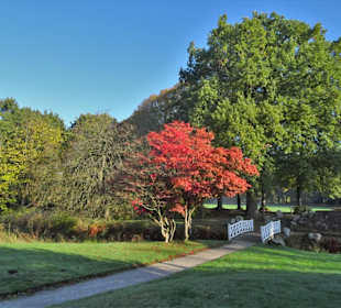 Herbstspaziergang durch den Schlosspark Lütetsburg