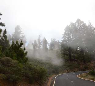 Auffahrt zum Muchacho