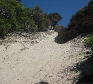 Landschaft beim Strand