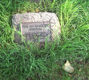 Stadtgarten Heidelberg