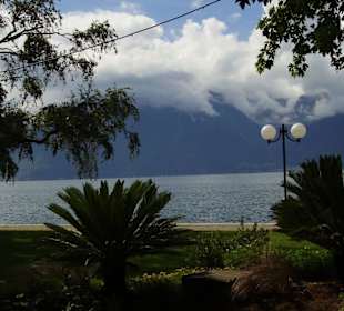 Vevey nad Jez. Genewskim