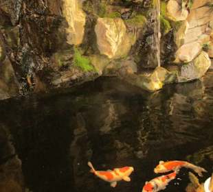 Kölle Zoo Ludwigshafen 
