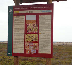 Naturschutzgebiet vor dem Strand