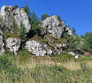 Naturschutzgebiet Großer Pfahl
