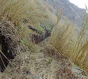 Hier muss man auch durch