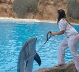 Ich mach heute den Diener