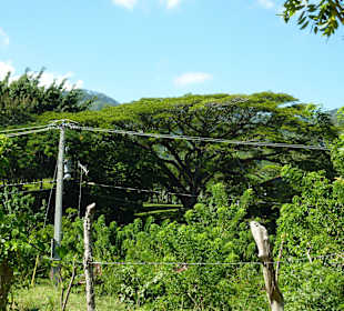 Berg und Tal Tour – Oktober 2014