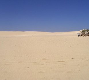 Parco naturale delle dune