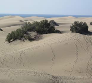 Dünen Maspalomas