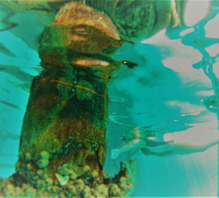 Schnorcheln Makadi Bay