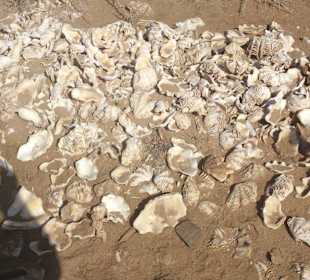 Fahrradausflug in die Wüste