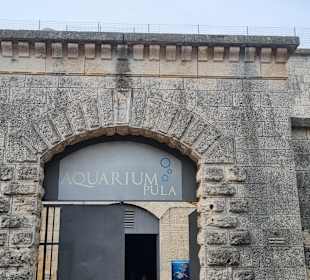 Aquarium Pula