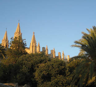 Palma