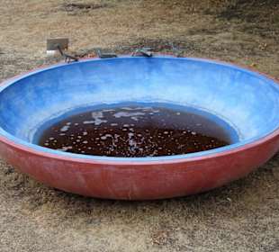 Rundgang durch den Skulpturenpark Köln