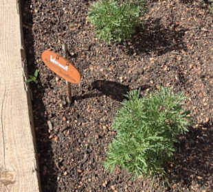 Arzneipflanzengarten Klosterreichenbach
