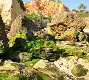 Spaziergang bei Ebbe