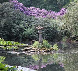 Der schöne Garten voller Hortensien