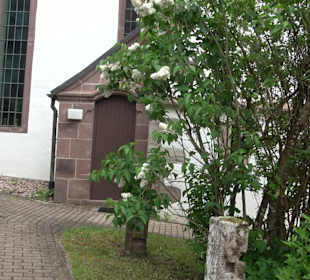 Marien- und Georgskirche Neuneck