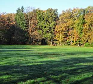 Herbstspaziergang durch den Bürgerpark Bremerhaven