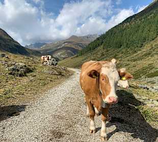Wandern St. Jakob im Defereggental