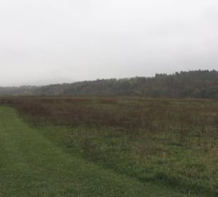 Naturschutzgebiet Listhof