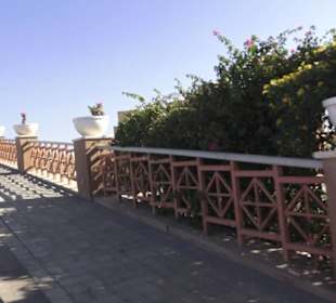 Stadtbesichtigung El Gouna